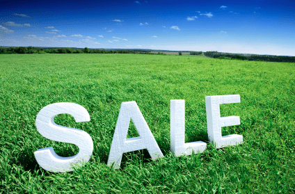 Going, Going, Gone: Hot New Land Listings
